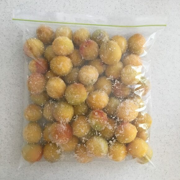 梅干しのつくり方