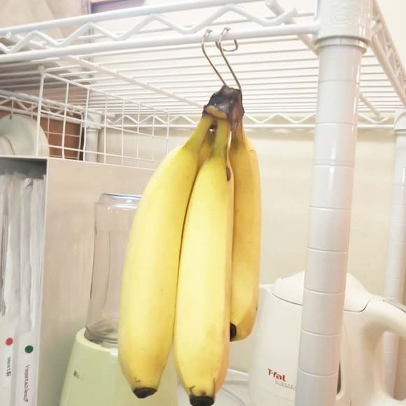 目につくので食べ忘れることもありません