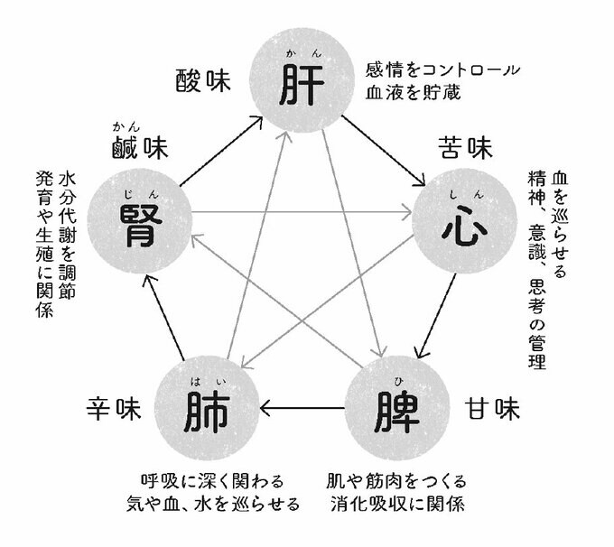 肝・心・脾・肺・腎