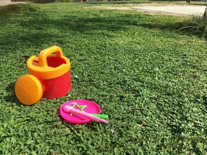 緑のじゅうたんとオモチャ