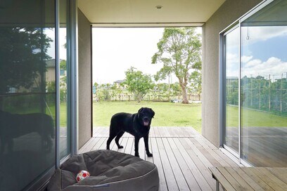 犬やネコと快適に暮らすなら。家づくりで注意したいポイントを専門家が解説