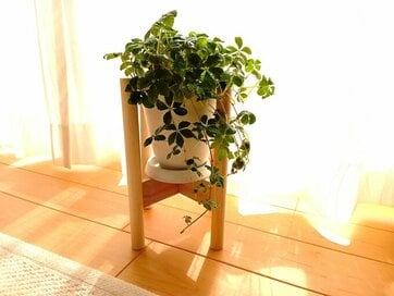 40代50代の暮らし上手が「買ってよかった」プチプラアイテム。おしゃれな鉢スタンドが330円