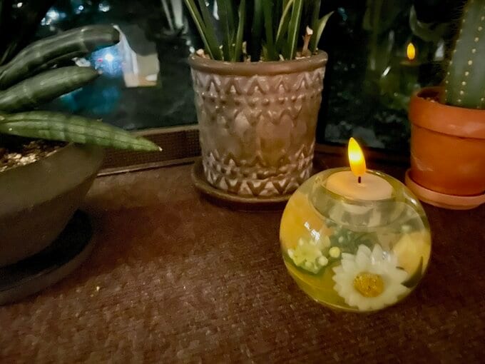 キャンドルと観葉植物