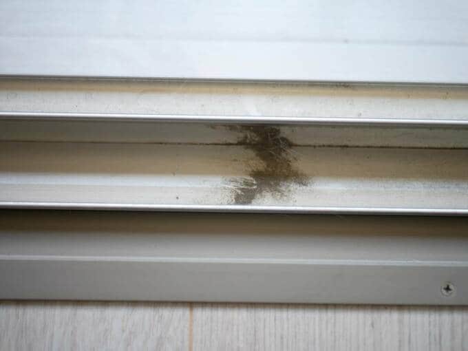 集めたホコリや土