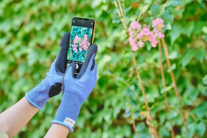 スマホで撮影