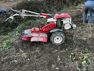 40歳目前で実家を拠点に。変化した親との関係性で心がけていること＜暮らしっく＞