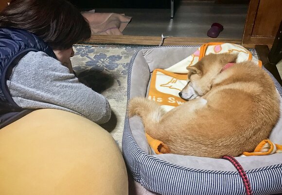 時間を忘れていつまでも見ている