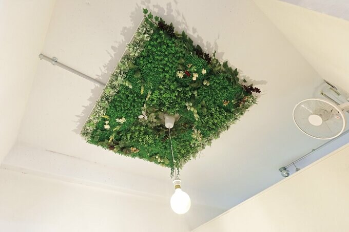 寝室の照明の周りはフェイクグリーンでディスプレイ