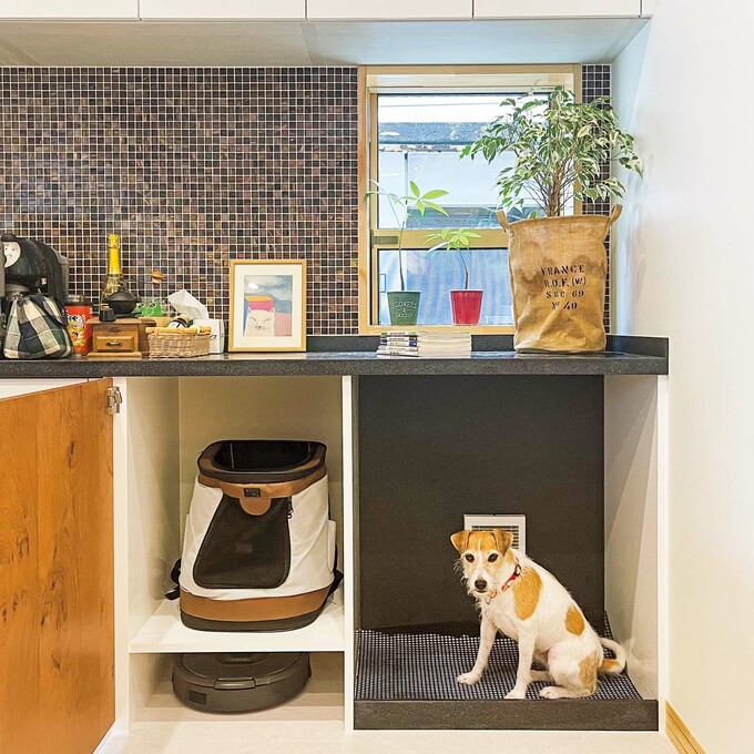 犬用トイレ