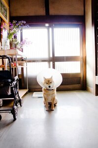 かわいいからその瞬間をおさめたくてシャッターをきる