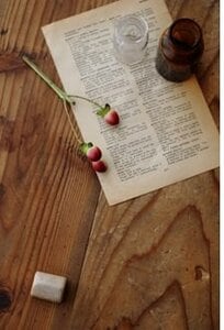 なるべく主役に寄って撮ります