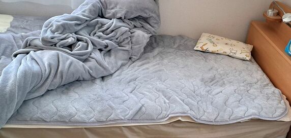 画期的なニトリの1990円「敷パッド」。置くだけでズレず家事ラクに