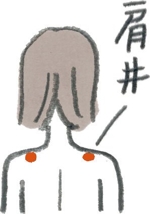 イラスト肩