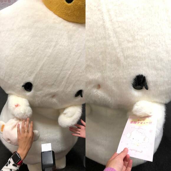 こぎみゅんとのふれあい