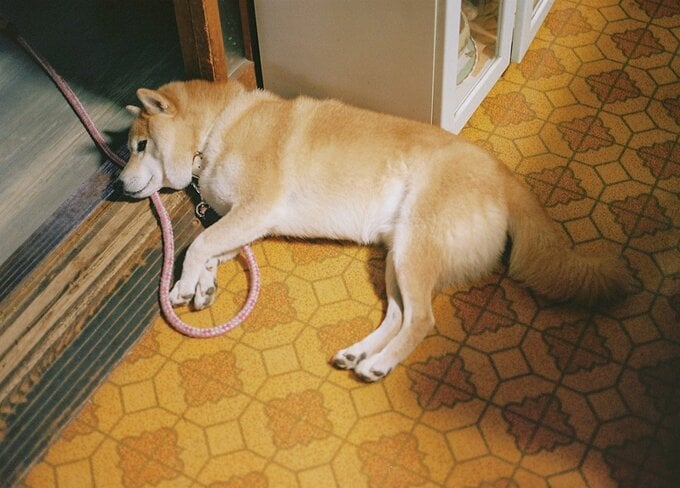 家族以外の人と一緒に過ごすことに、ずいぶん慣れた