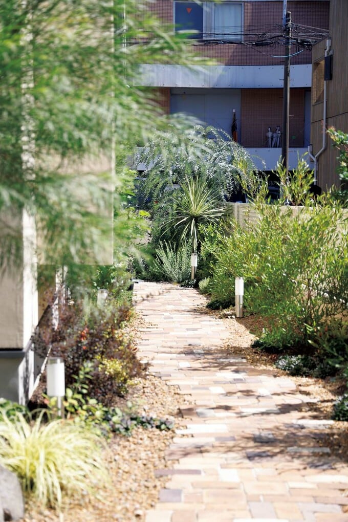 庭へ続くアプローチ