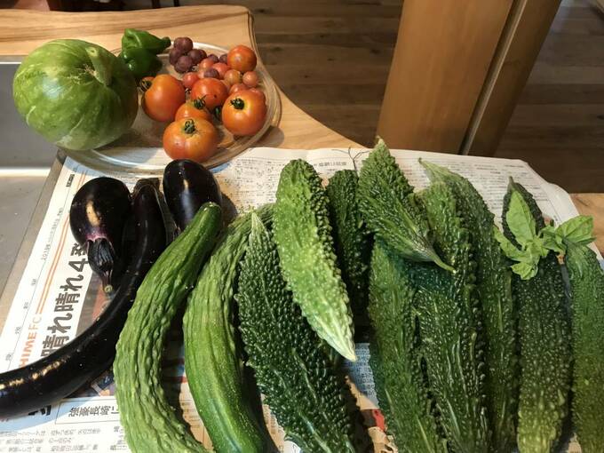 台所に並べた夏野菜の様子