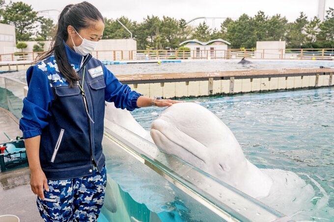 コミュニケーションをとる女性
