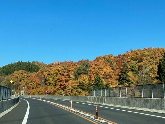 写真：E紅葉4
