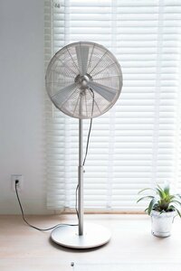 主役になれる扇風機