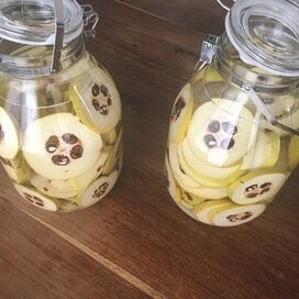 風邪対策や疲労回復に！簡単・自家製「カリン酒」のつくり方