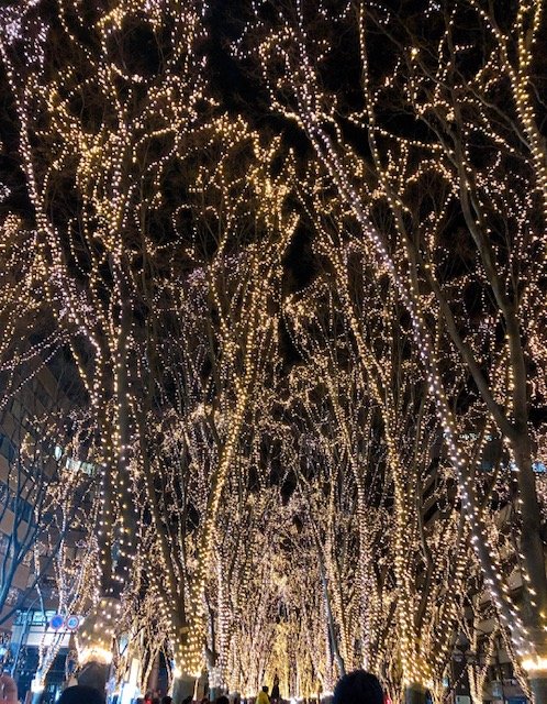 イルミネーション