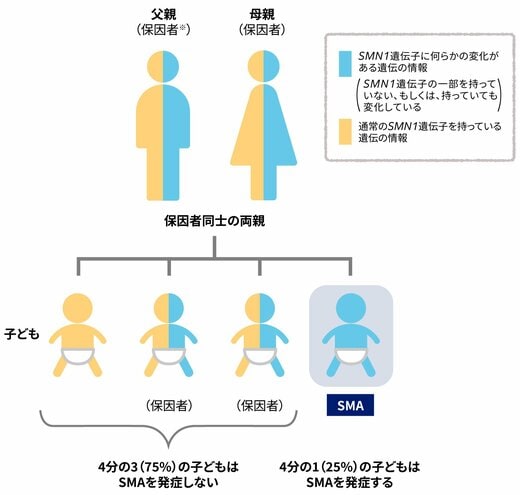 SMAと遺伝