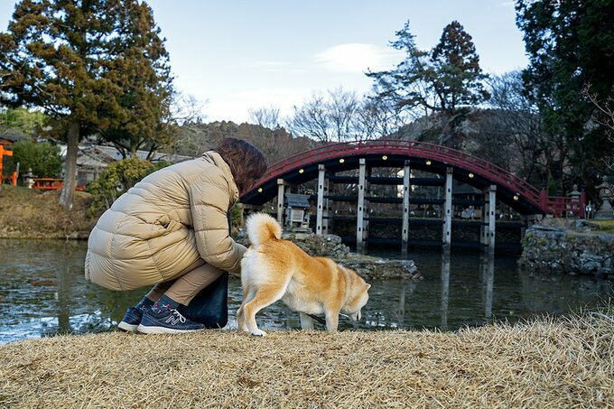 池の前に女性と犬