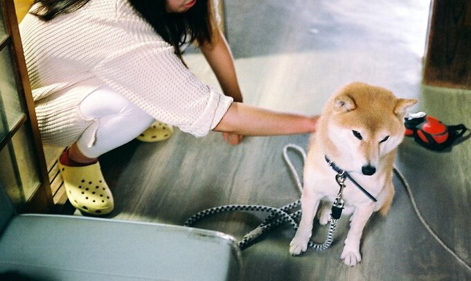 頬や背中をなで