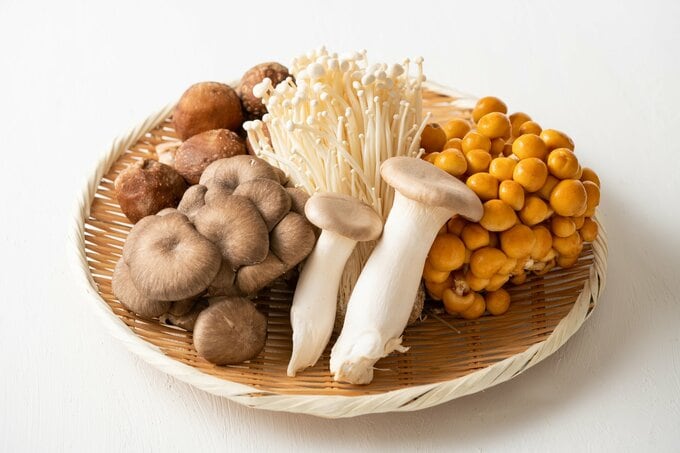 たくさんのキノコ