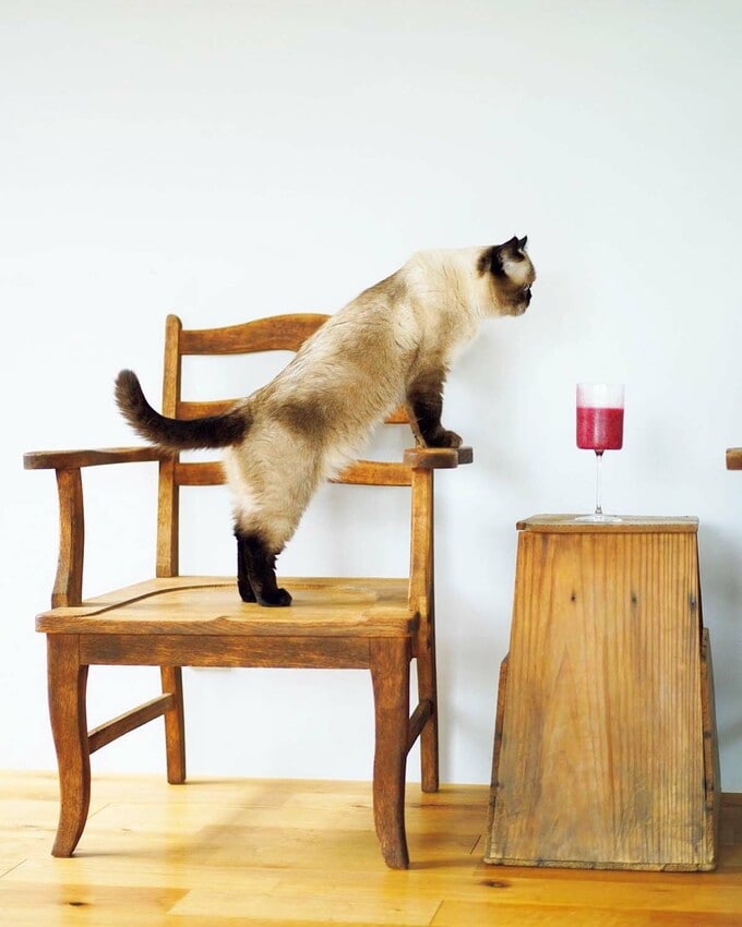 ジュー スが気になるとこ