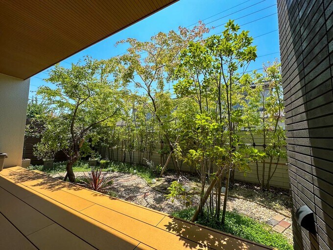 4年間に入る庭の様子