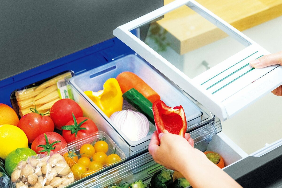 れーろ様　【2024年式】使用期間1ヶ月半 冷蔵庫 東芝 VEGETA 356Ｌ 冷蔵庫 東芝 356」の人気商品一覧 | 安い商品を通販サイトから