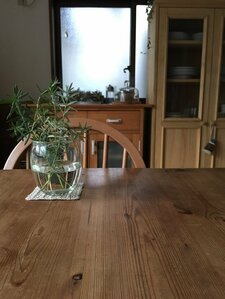 コロンとかわいいグラスみたいな花ビンに庭の植物を