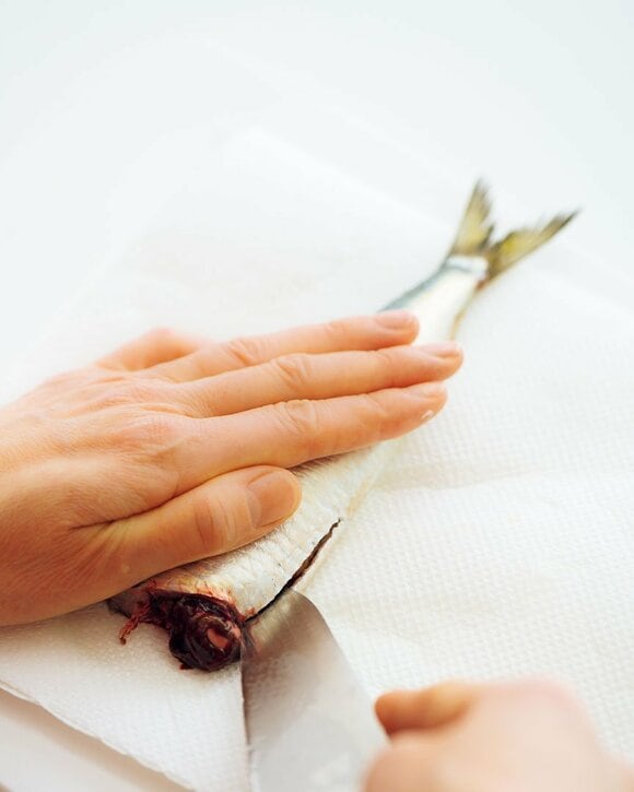 イワシは腹ビレから頭の方に向かって包丁を入れる様子