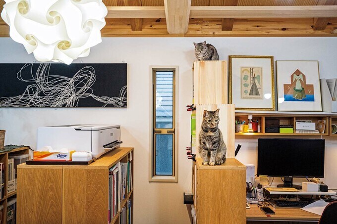 収納家具もネコ階段