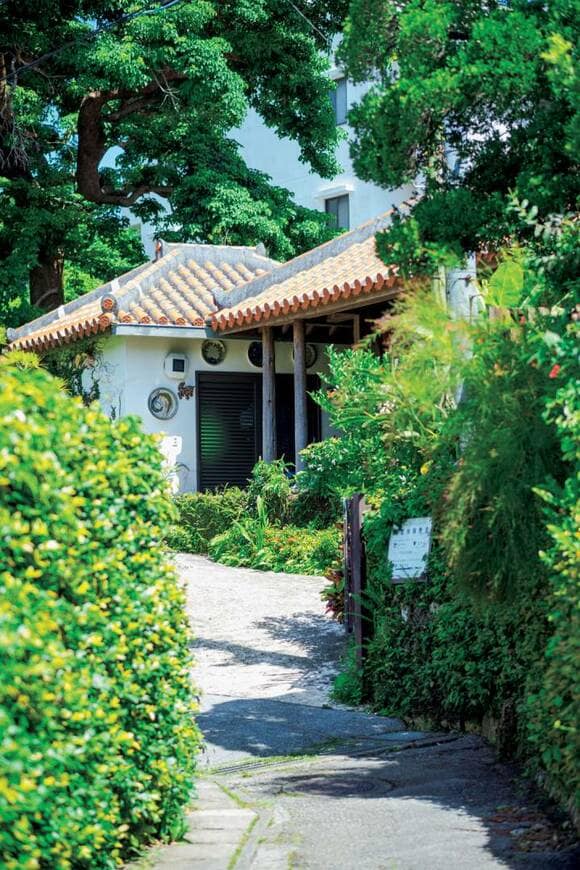 瓦屋根までの細道