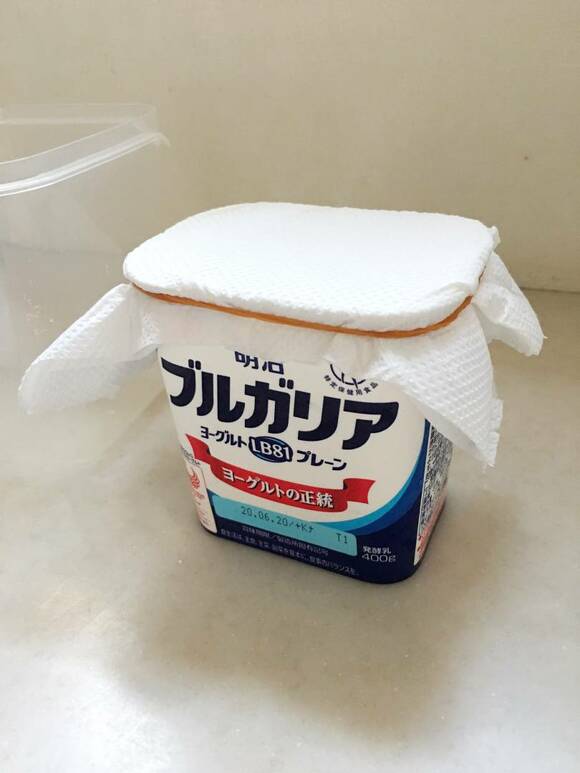 ヨーグルトにキッチンペーパーをかぶせる
