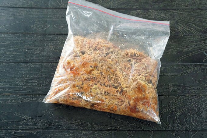 水で戻した水苔