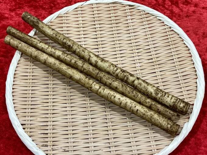 少し白いゴボウ