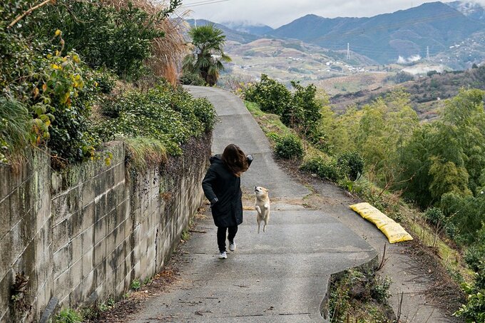 正面に向かって走る女性と犬