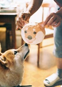 母から紙風船のプレゼント