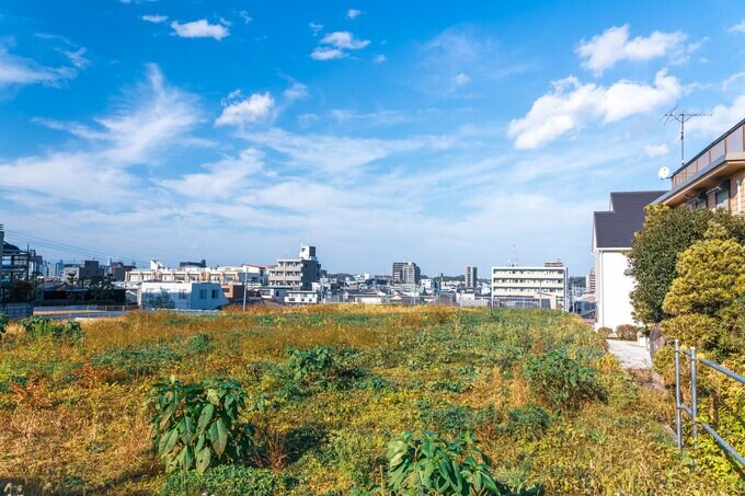 野原