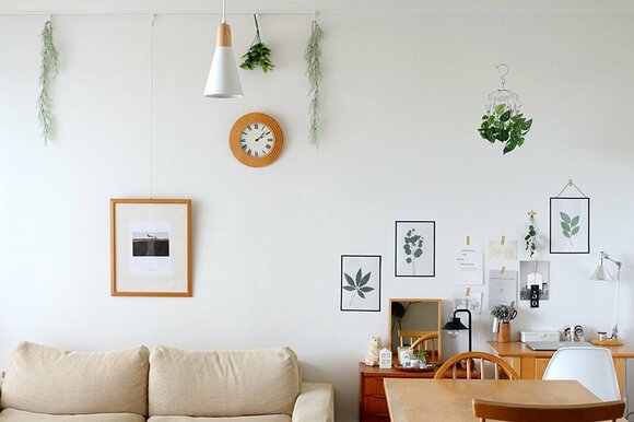 グリーンインテリ