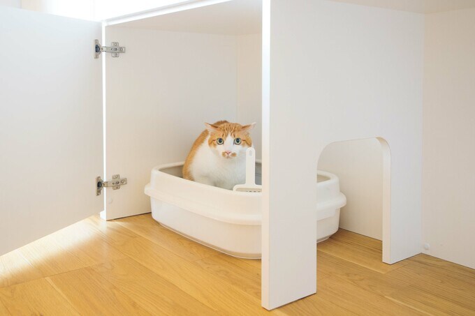 ネコ用トイレの内部