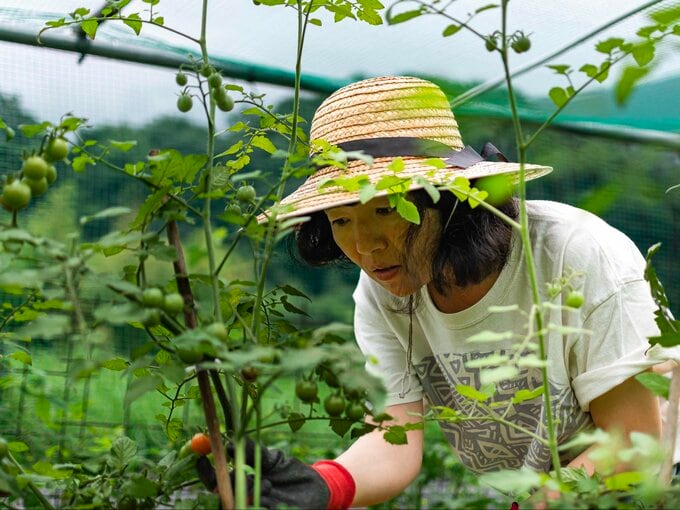 農作業する久美子さん