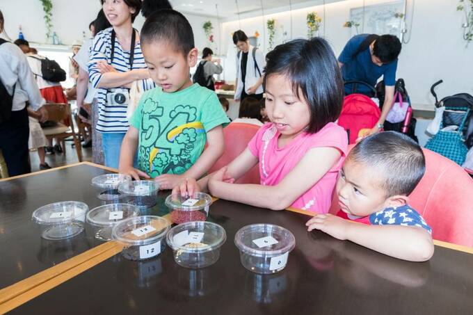 いろいろな食物の種を学べる「このタネなんダネ？」