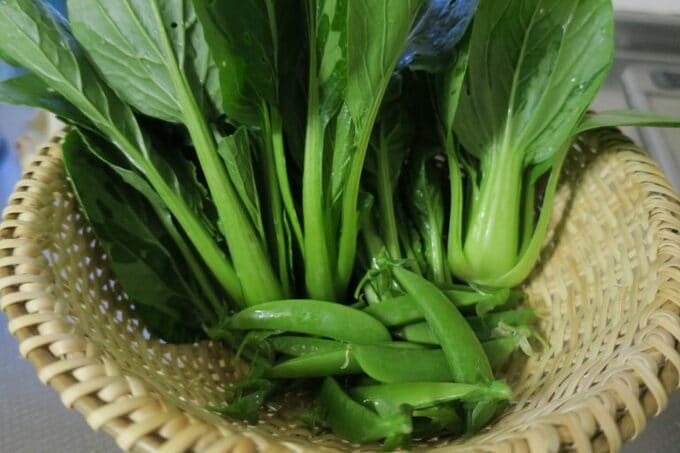 カゴにたくさんのお野菜