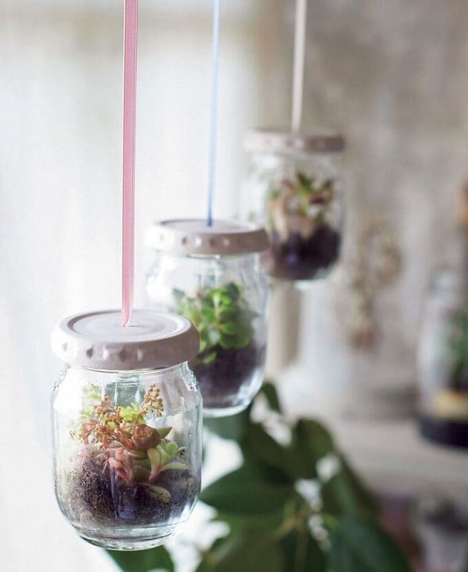 話題のテラリウムもジャムビンで