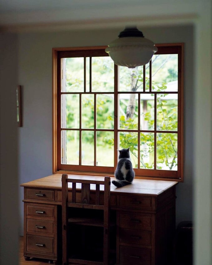 寝室の窓から、木々の葉の揺れや鳥を見つめてたたずむぼう